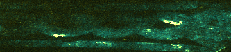 Fig. 12. Distribution of silver (green) and gold (yellow).png