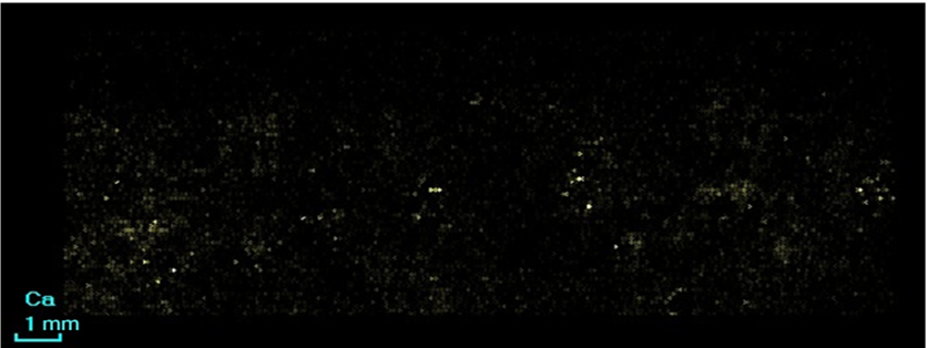 ca2.png