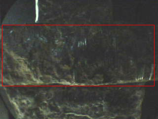 Figure 2_1.png