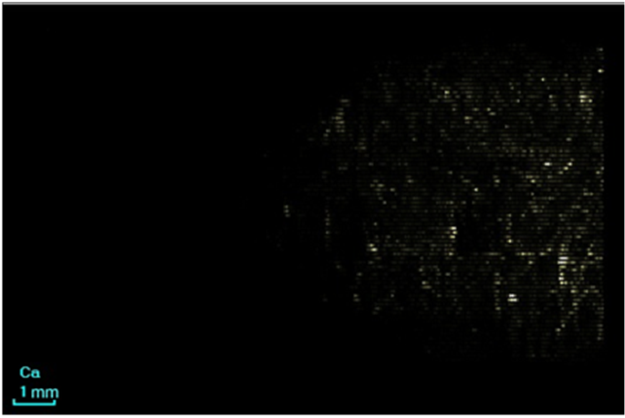 ca3_2.png